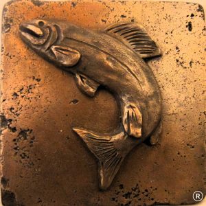 6 x 6 Trout